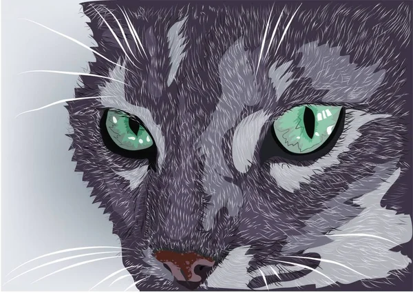 Cat Face Gray Tabby Cat Light Background — Stock Vector