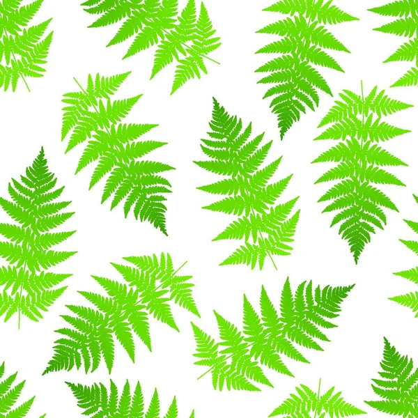 蕨类植物无缝模式 矢量图 — 图库矢量图片