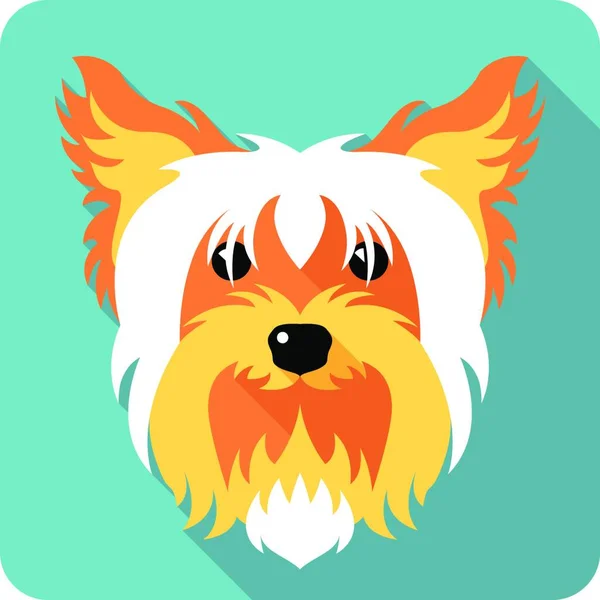 Hund Yorkshire Terrier Ikon Platt Design — Stock vektor