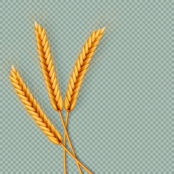 Икона Пшеничных Ушей Векторная Иллюстрация — стоковый вектор