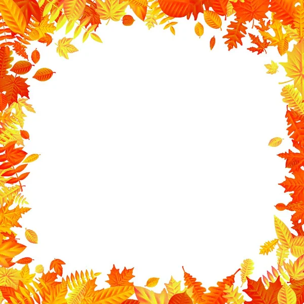Herfst Bladeren Achtergrond Vectorillustratie — Stockvector