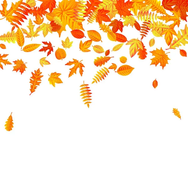 Der Herbst Hinterlässt Spuren Vektorillustration — Stockvektor