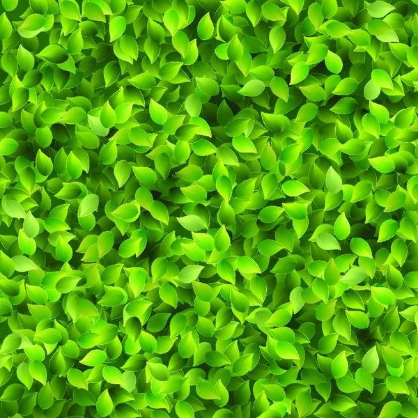 Зеленые Листья Фона — стоковый вектор