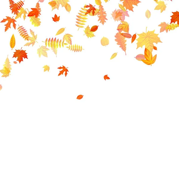 Hojas Otoño Fondo Ilustración Vectorial — Vector de stock