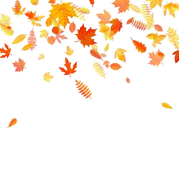 Autumn Leaves Background Vector Illustration — Stock Vector