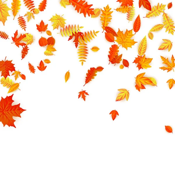 Осенние Листья Фона Красочная Осенняя Листва — стоковый вектор