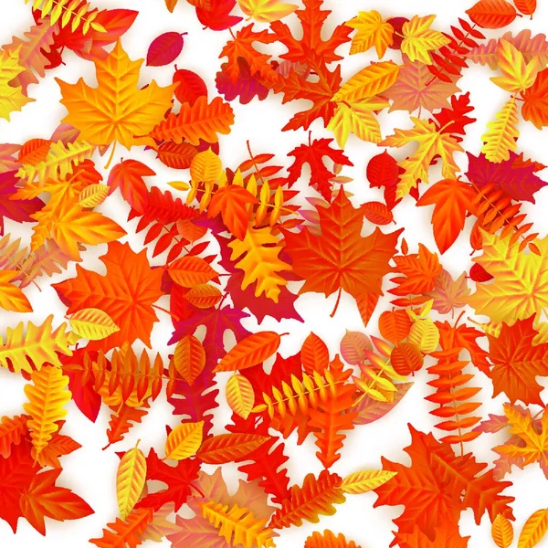 Herfst Bladeren Achtergrond Kleurrijke Esdoorn Blad Vectorillustratie — Stockvector