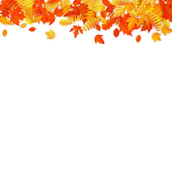 Podzimní Listí Izolované Bílém Pozadí — Stockový vektor