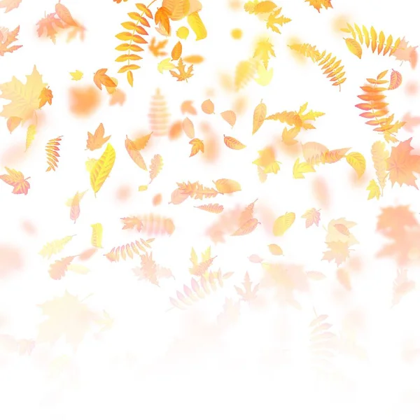 Hojas Otoño Fondo Ilustración Vectorial — Vector de stock