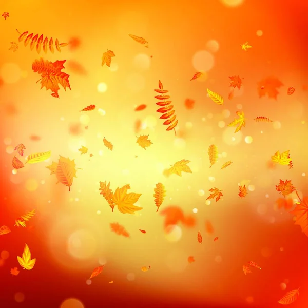 Feuilles Automne Fond Illustration Vectorielle — Image vectorielle