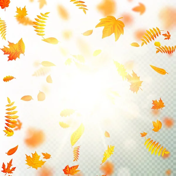 Der Herbst Hinterlässt Spuren Gelb Und Orange — Stockvektor