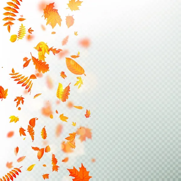 Autumn Leaves Background Vector Illustration — Stock Vector