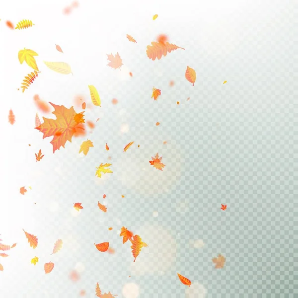 Hojas Otoño Fondo Ilustración Vectorial — Vector de stock