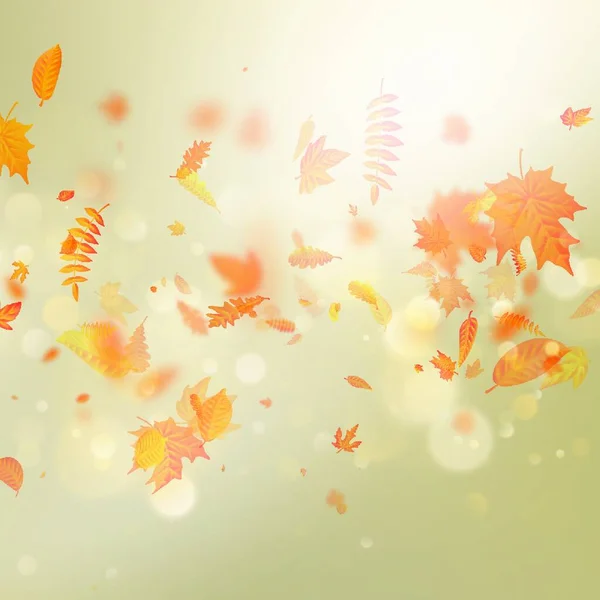 Herfst Bladeren Achtergrond Kleurrijke Herfst Esdoorn Blad Vectorillustratie — Stockvector