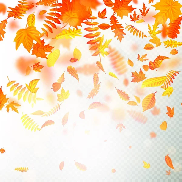 Hojas Otoño Fondo Ilustración Vectorial — Vector de stock