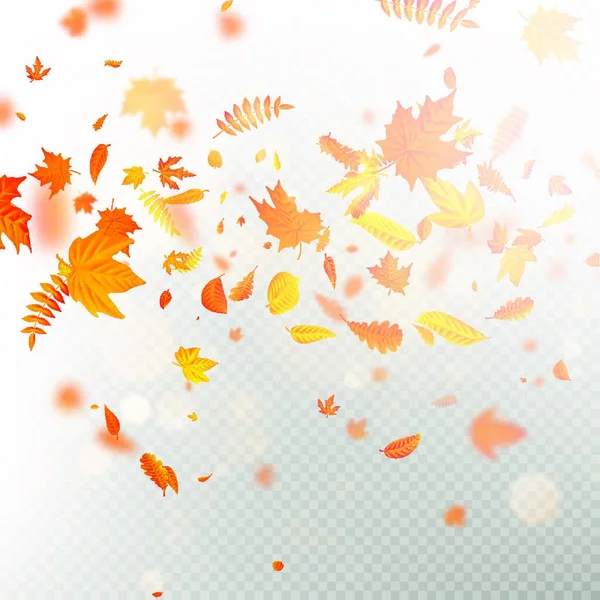 Hojas Otoño Fondo Ilustración Vectorial — Vector de stock