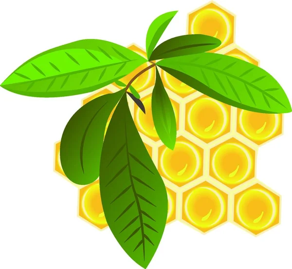 Brunch Med Och Honeycomb Vektor Illustration Vit Bakgrund Isolerad — Stock vektor
