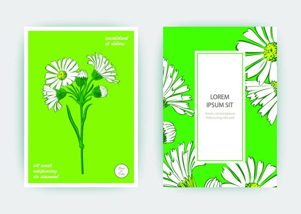 手描きクローズアップ菊の花の芸術ベクトルイラスト 植物の結婚式の花 白い色で描かれた花弁 花のトレンディーなパターングリーティングカード招待状緑白の背景 — ストックベクタ
