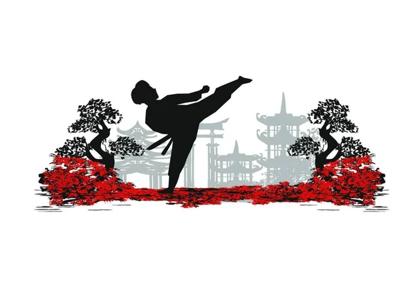 Karate Silhouette Mit Schwert Und Einer Frau Kimono — Stockvektor