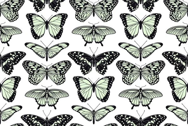 Motif Sans Couture Avec Papillon Illustration Vectorielle — Image vectorielle