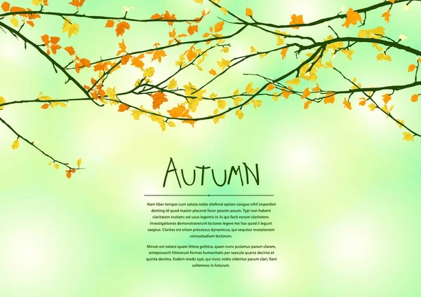 Herbstliche Hintergrundkomposition Mit Raum Für Text — Stockvektor