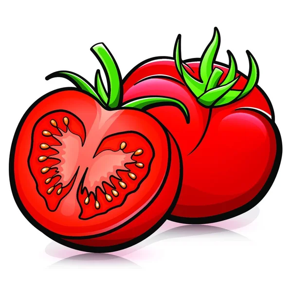 Ilustração Vetorial Tomate Desenho Desenho Isolado — Vetor de Stock