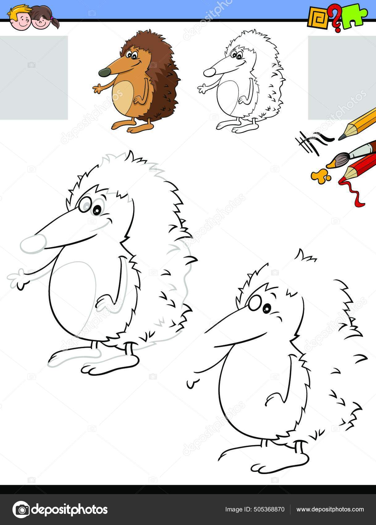 Cartoon Illustration Drawing Coloring Educational Activity Children