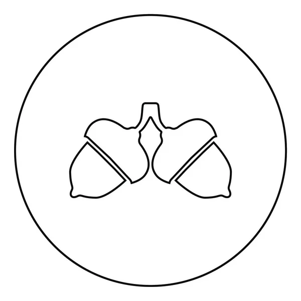 Δύο Εικονίδιο Βελανιδιάς Κύκλο Στρογγυλό Περίγραμμα Μαύρο Χρώμα Διάνυσμα Εικόνα — Διανυσματικό Αρχείο