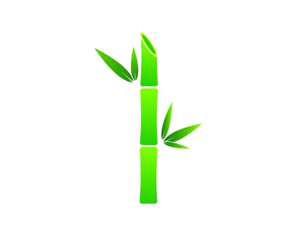Bambu Yeşil Renkli Vektör Çizim — Stok Vektör