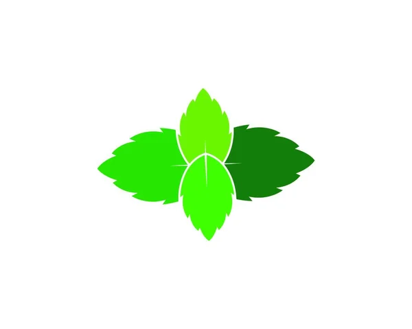 Yeşil Yaprak Logo Tasarım Vektör Şablonu — Stok Vektör