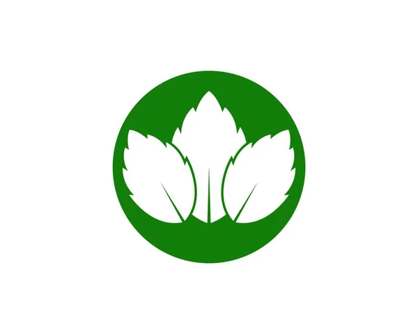 Лотос Квітковий Логотип Шаблон Векторний Дизайн Ілюстрації — стоковий вектор