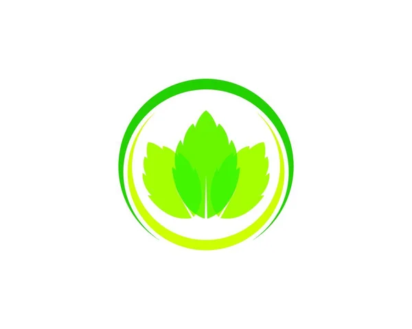 Blatt Logo Vorlage Vektor Symbol Illustration Design — Stockvektor