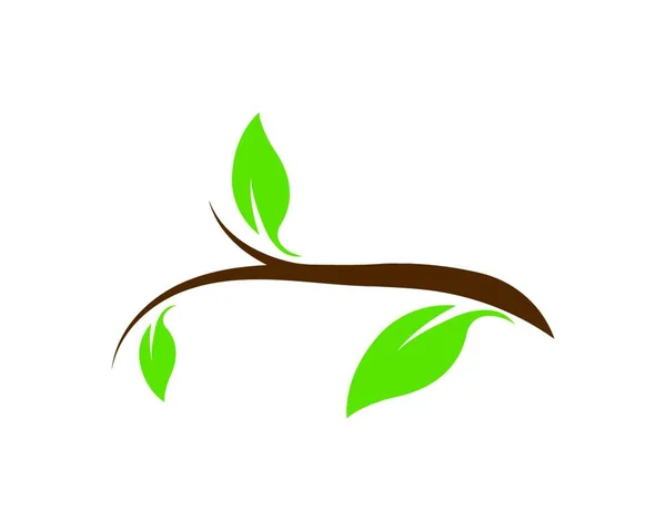 Logotipos Ecología Hoja Verde Naturaleza Elemento Vector Icono — Archivo Imágenes Vectoriales