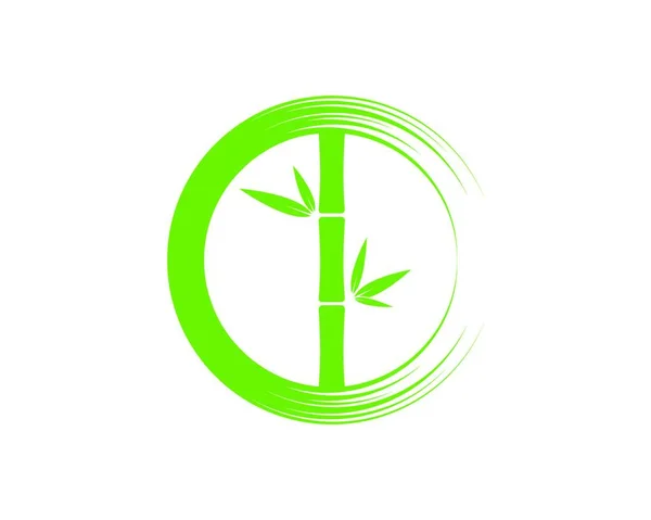 Bambus Mit Grünem Blatt Vektor Symbol Vorlage — Stockvektor