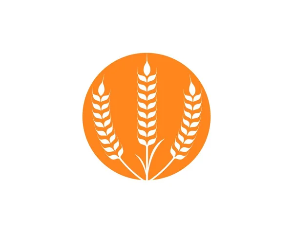 Agricultura Logotipo Trigo Modelo Vetor Ícone Design — Vetor de Stock