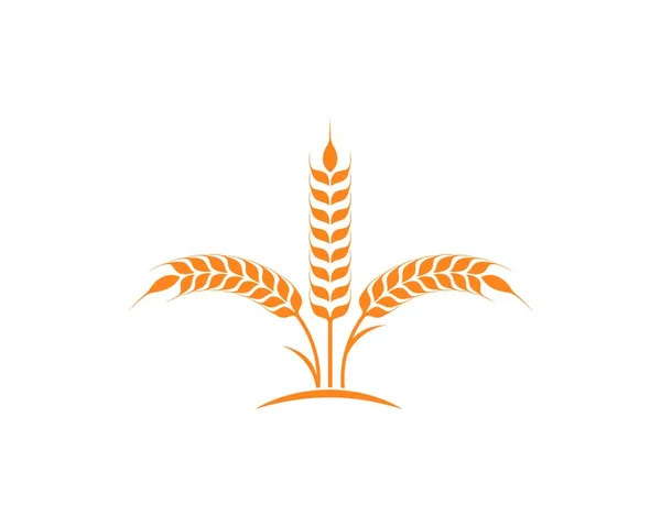 Agricultura Trigo Logotipo Plantilla Vector Icono Diseño — Archivo Imágenes Vectoriales