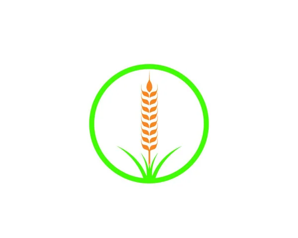 Jordbruk Vete Logotyp Mall Vektor Ikon Design — Stock vektor