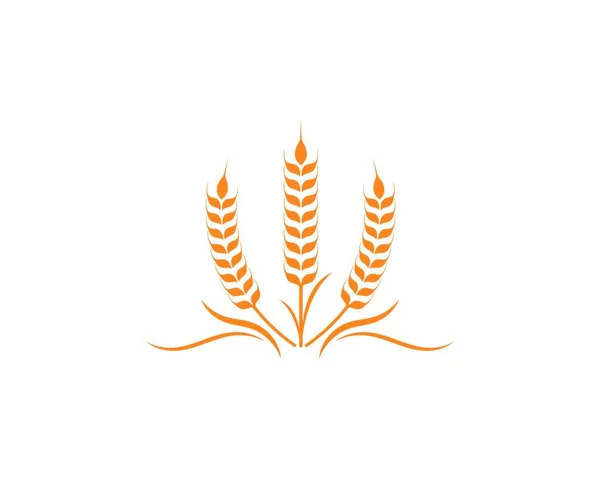 Agricultura Trigo Logotipo Plantilla Vector Icono Diseño — Archivo Imágenes Vectoriales