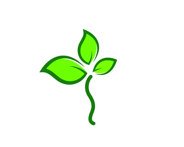 Зелене Листя Екології Елемент Природи Вектор Значок Зеленого Дизайну — стоковий вектор