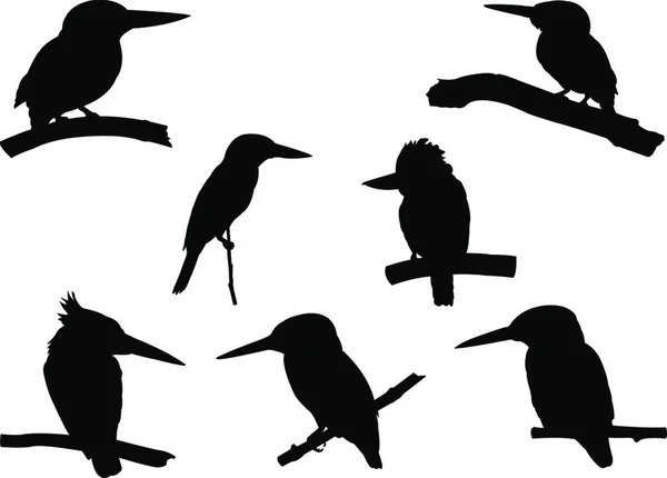 Sammlung Von Eisvogel Auf Ästen Silhouetten Vektor Illustration Isoliert Auf — Stockvektor