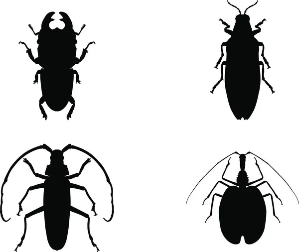 在白色上分离的昆虫西洛埃特 白色隔离的矢量插图 — 图库矢量图片