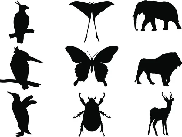 Divoké Živočichy Černé Siluety Ptačí Ilustrace Hmyz Příroda — Stockový vektor