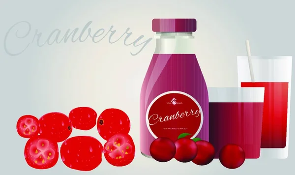 Vol Cranberrysap Met Glazen — Stockvector
