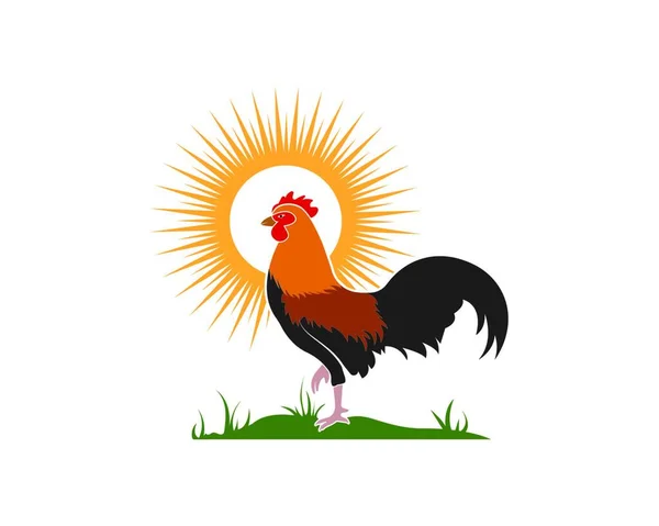 Modèle Illustration Vectorielle Logo Coq — Image vectorielle