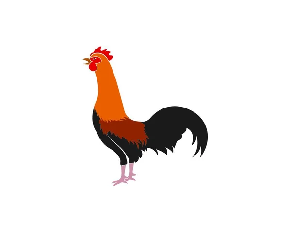 Modèle Illustration Vectorielle Logo Coq — Image vectorielle