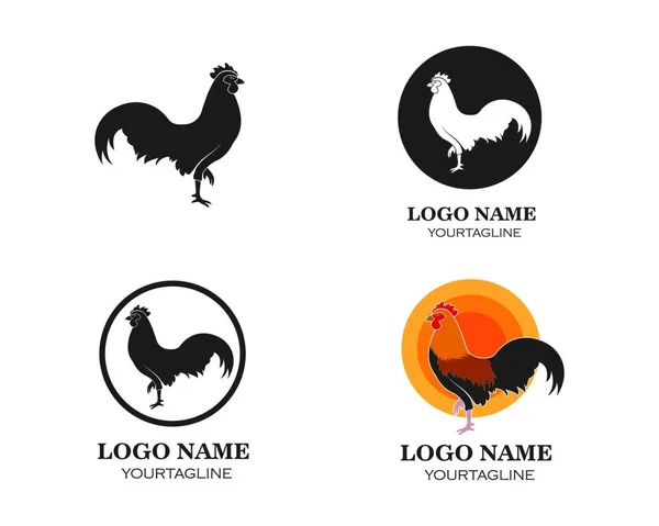 Galo Logotipo Vetor Ilustração Modelo Design — Vetor de Stock