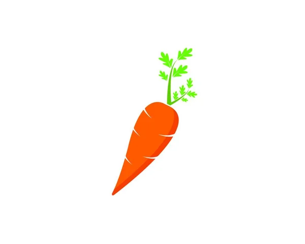 Zanahoria Logotipo Icono Vector Ilustración Diseño Plantilla — Vector de stock