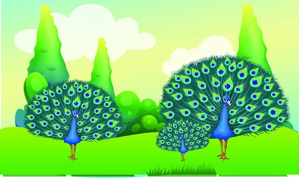 Familia Del Pavo Real Está Bailando Los Jardines — Vector de stock