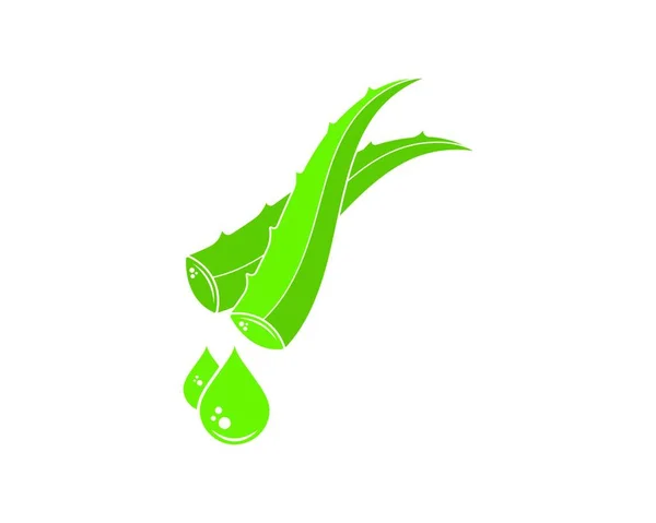 Aloevera Logo Icono Vector Ilustración Diseño Plantilla — Vector de stock