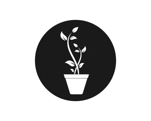Plant Logo Pictogram Vector Illustratie Ontwerpsjabloon — Stockvector